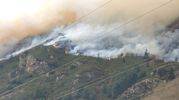 Mayo-2016. Este incendio destruyó una de las mejores formaciones de madroño cantábrico de Asturias