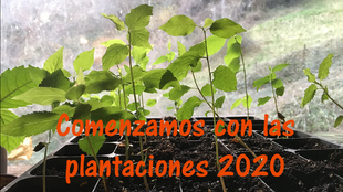 LA CAMPAÑA DE PLANTACIÓN 2020, YA ESTÁ EN MARCHA