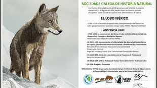Conferencia: Conservación del oso y el lobo en la Cordillera Cantábrica