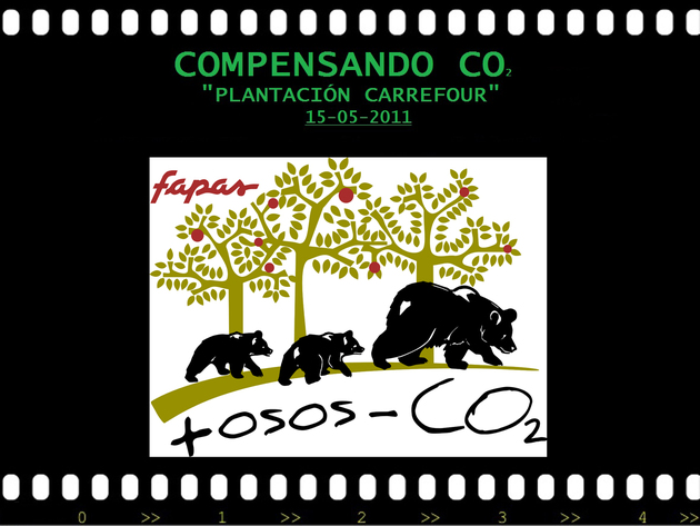 15/05/11: PLANTACION CARREFOUR. COMPENSANDO CO2